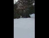 Skier blue pants jumps over hump and faceplants into snow