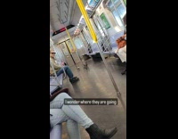 Collab WINY - Four pigeons on floor ride the train