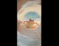 Collab Clips mpugc - Camera zooms into tube and sees small frog looking back