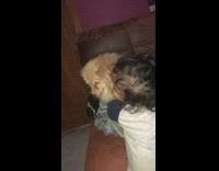 Toddler hugs Pomeranian