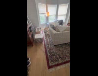 Dog walker picks up greyhound 