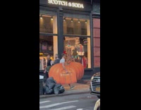 Guy walks with pig pumpkin sign 