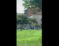 Blue shirt guy white whip park kids 