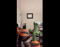 Filmer plays violin while cactus repeats sound