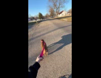 Woman laughing at her dogs shadow 