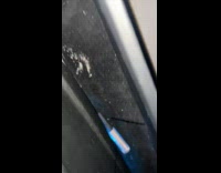 Girl finds different items in guys car 