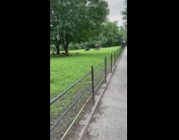 3 guys have a medieval battle at park 