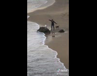 Man with two dogs at the beach 