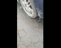 Man makes up excuse not to go to work 