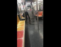 Lady pees on subway floor 