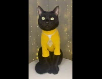 Cat wearing turtle neck and necklace that looks like tie