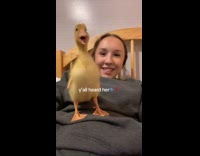 Woman and duckling rapping