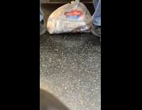 Collab Subway Creatures - Plastic bag moves on its own under the train chair