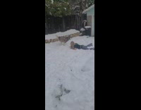 Kid Trips on Snow as Husky Chase Her