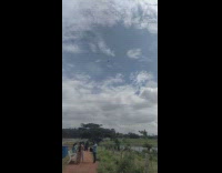 Bird flies in the same position in the air