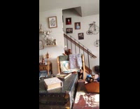 Cat on stairs look at reflected sunlight