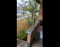 Tree branch falls on man 