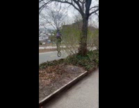 Dog see man ride unicycle with three wheels