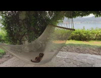 Puppy Lays on Hammock as it Swings