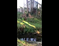 Guy cross small stream with by swinging on rope
