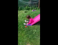 Kid hold cat slide down pink slide