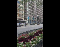 Couple in formal attire walks on the street