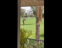 Collab IITW - Man in a dress sexy dance on the golf course