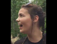 Siberian husky stands on roof of cabin