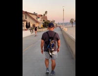 Cat on backpack waves at dog nearby