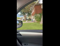 Collab BitchMP - Man pranks brother about being late for school 