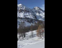 Skier attempts backflip fail