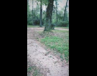 Collab KaleSaladIG - Dog runs around fast in circle