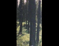 music small white dog getting lifted by owner
