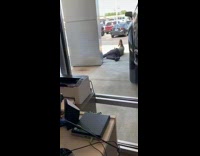 Guy lay ground take picture car girl