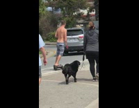Collab Kook Of The Day - Shirtless guy rides a motorized skateboard on side street