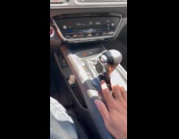 Dog rejects hand of owner in car