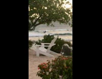 Three people reached by water at beach