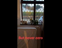 Random horse walks past by submitters bedroom 