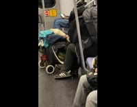 Person on subway with white ferret
