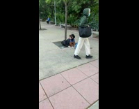 Collab winy - Dog wear cowboy hat and tobacco pipe