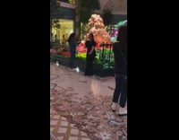 Woman black shirt dance beside garden mall