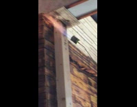 Green shirt guy applies fire to wood