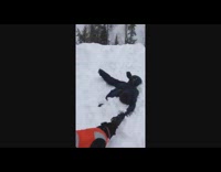 Guy try to sled with dog fail