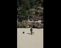 Woman bikini twerk butt beach strangers near Part 3