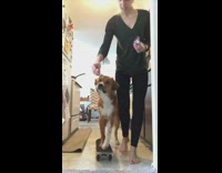 Girl teaches dog how to skateboard kitchen 