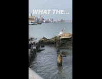 Woman white dress photo shoot broken pier Part 1