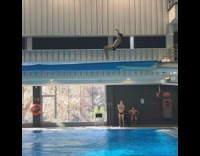 Guy dives and flops into water 