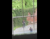 Black shirt girl brick wall ivy window 