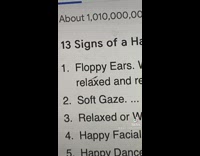 Signs your dog is happy floppy ears