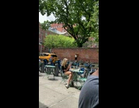 Guy Carries Giant Teddy Bear Down Sidewalk 